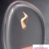Esponja de Silicone Para Maquiagem - Image 3
